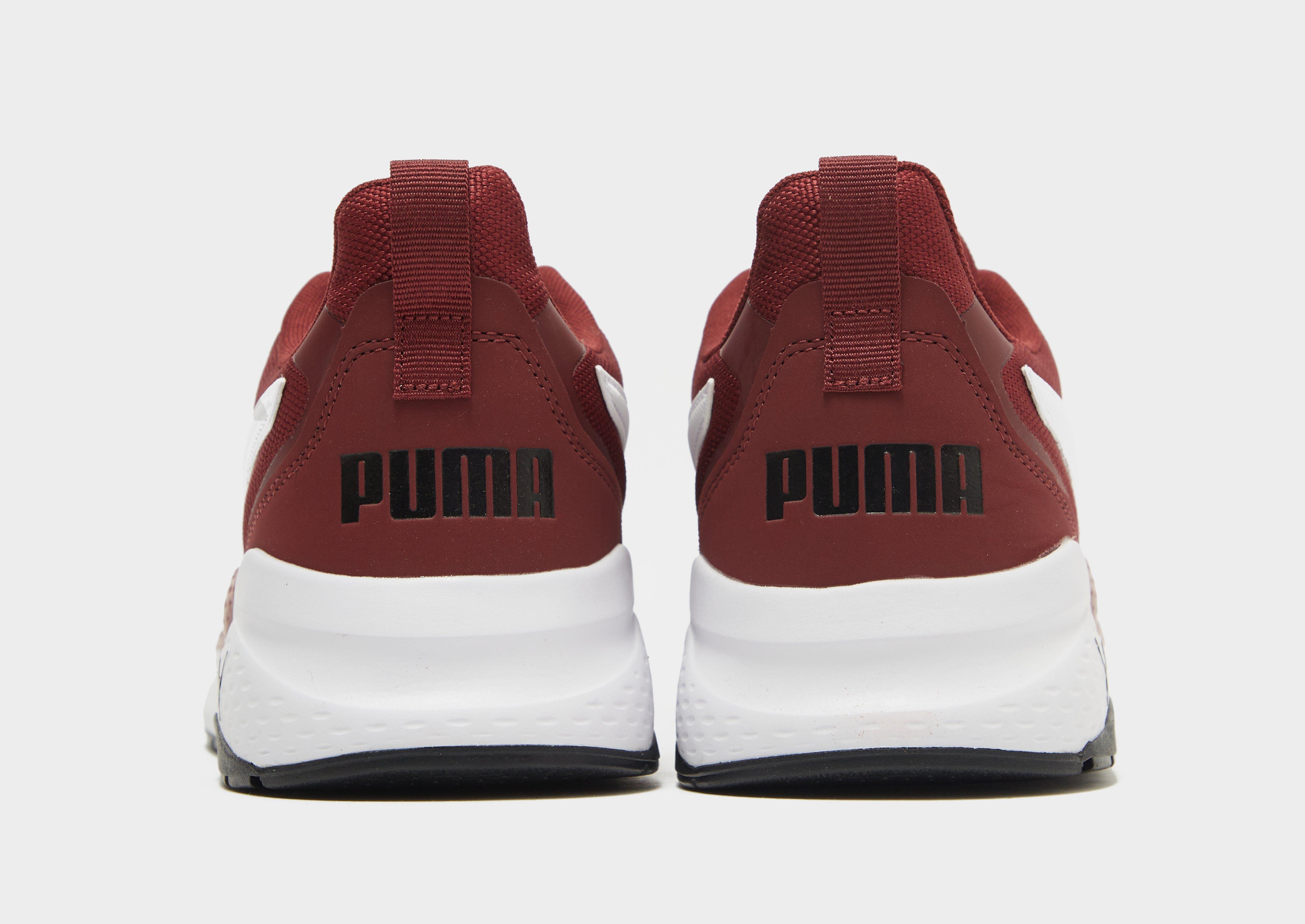 Pánske tenisky PUMA ANZARUN 388066 05 Bordová