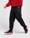 JORDAN NADRÁG M J ESS FLC PANT