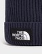 THE NORTH FACE ZWYKŁA LOGO BOX CUFFED BEANIE