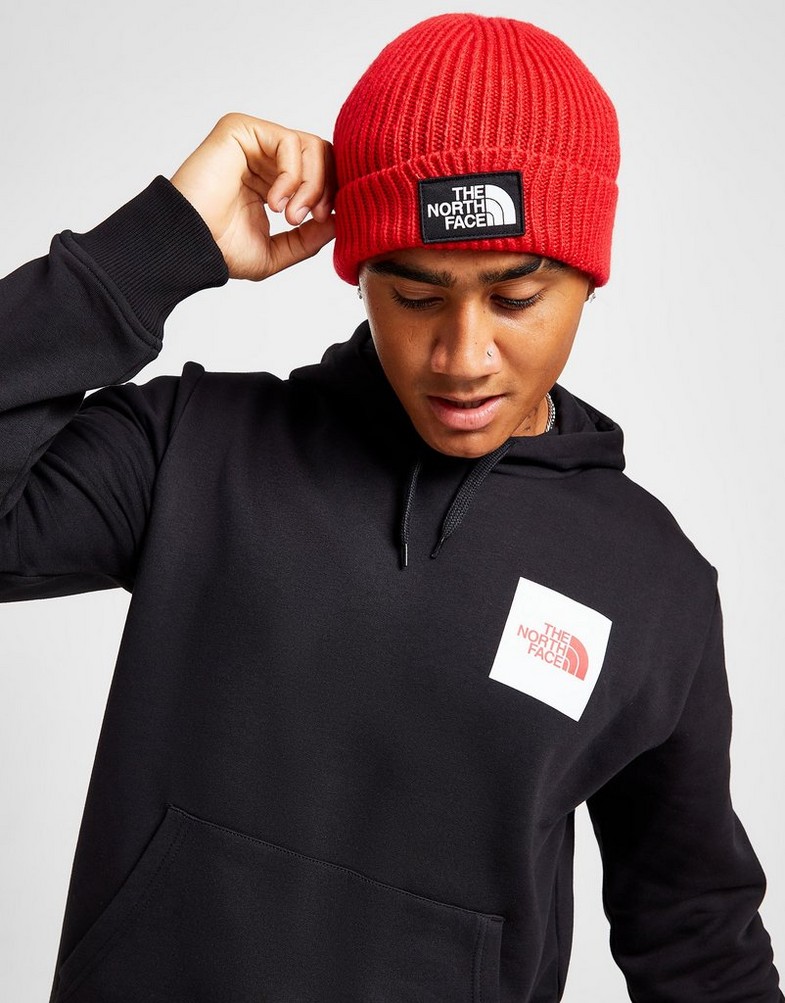 Czapka zimowa damska THE NORTH FACE ZWYKŁA LOGO BEANIE HAT NF0A3FJX6821 Czerwony