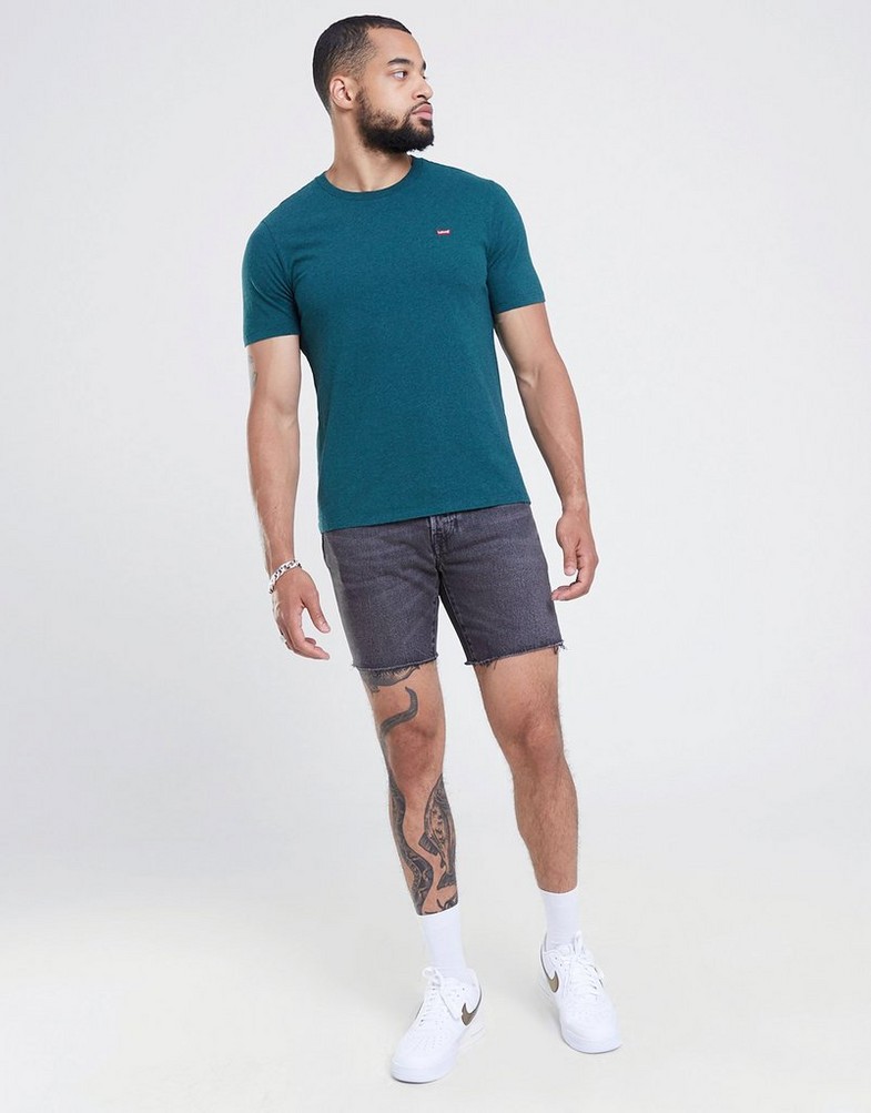 Tricou pentru bărbați LEVI'S TRICOU SS ORIGINAL HM 56605-0150 Verde
