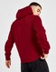 CHAMPION Z KAPTUREM SCRIPT LOGO CORE HOODIE