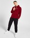 CHAMPION Z KAPTUREM SCRIPT LOGO CORE HOODIE