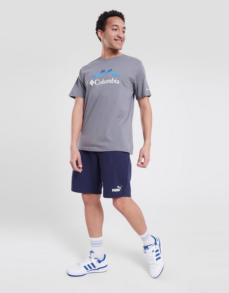 Krótkie spodenki, szorty męskie PUMA SZORTY ESS SHORTS 10"