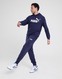 PUMA KALHOTY  ESS LOGO PANTS TR CL