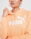 PUMA BLUZA Z KAPTUREM ESS LOGO HOODIE ORANGE PEACH