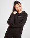 MCKENZIE BLUZA Z KAPTUREM LOGO OH HD