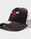 NEW ERA ČIAPKA TONAL CHECK TRUCKER BULLS CHICAGO BULLS