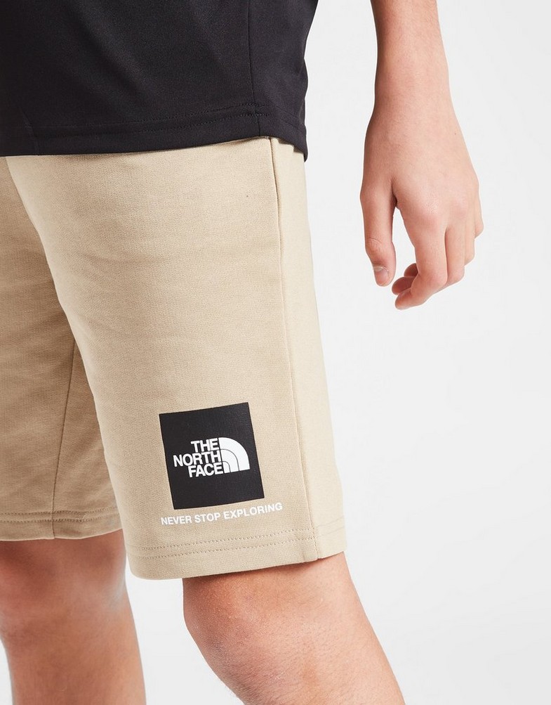 Krótkie spodenki, szorty dziecięce THE NORTH FACE SZORTY SMALL BOX SHORT FLAX