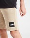 THE NORTH FACE SZORTY SMALL BOX SHORT FLAX