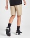 THE NORTH FACE SZORTY SMALL BOX SHORT FLAX