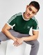 ADIDAS T-SHIRT CALI TEE GREEN TEE