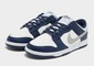 NIKE DUNK LOW RETRO