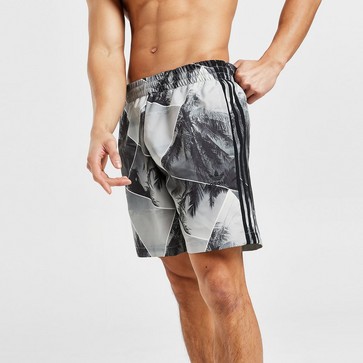 Pantaloni scurți pentru bărbați ADIDAS PANTALONI SCURȚI PALM AOP SWIM SHORT