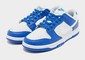 NIKE DUNK LOW SC