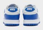 NIKE DUNK LOW SC