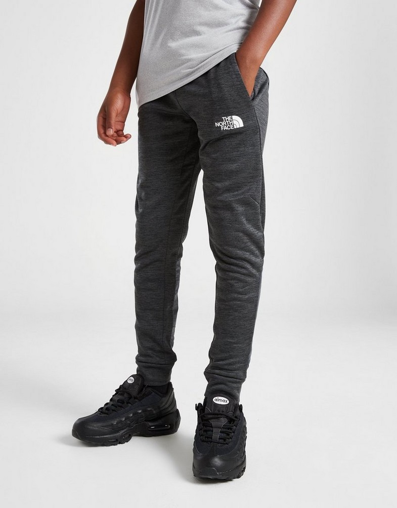 Дитячі штани THE NORTH FACE ШТАНИ MITTELLEGI PT NF0A83HVJCR1 Сірий