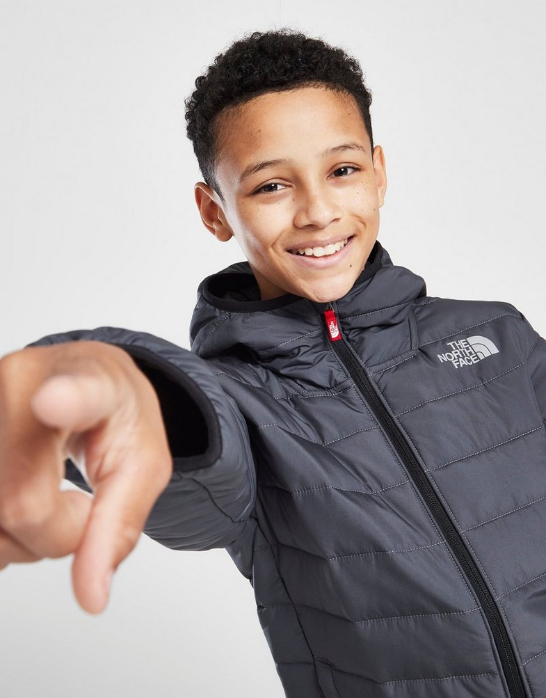 THE NORTH FACE КУРТКА ЗИМОВА PADDED JKT VANADIS NF0A83HL1741 Сірий