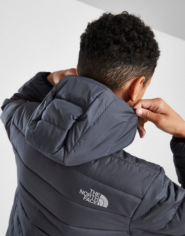 THE NORTH FACE КУРТКА ЗИМОВА PADDED JKT VANADIS NF0A83HL1741 Сірий