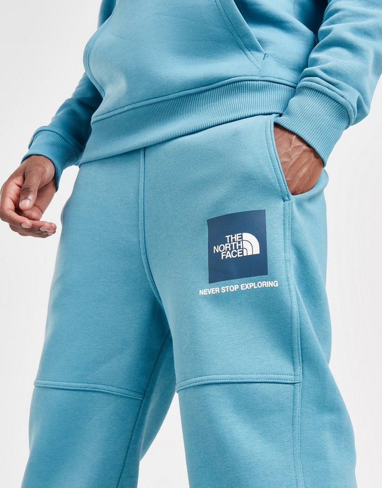 Pantaloni pentru bărbați THE NORTH FACE PANTALONI  FINE BOX PANT PANT1 Albastru