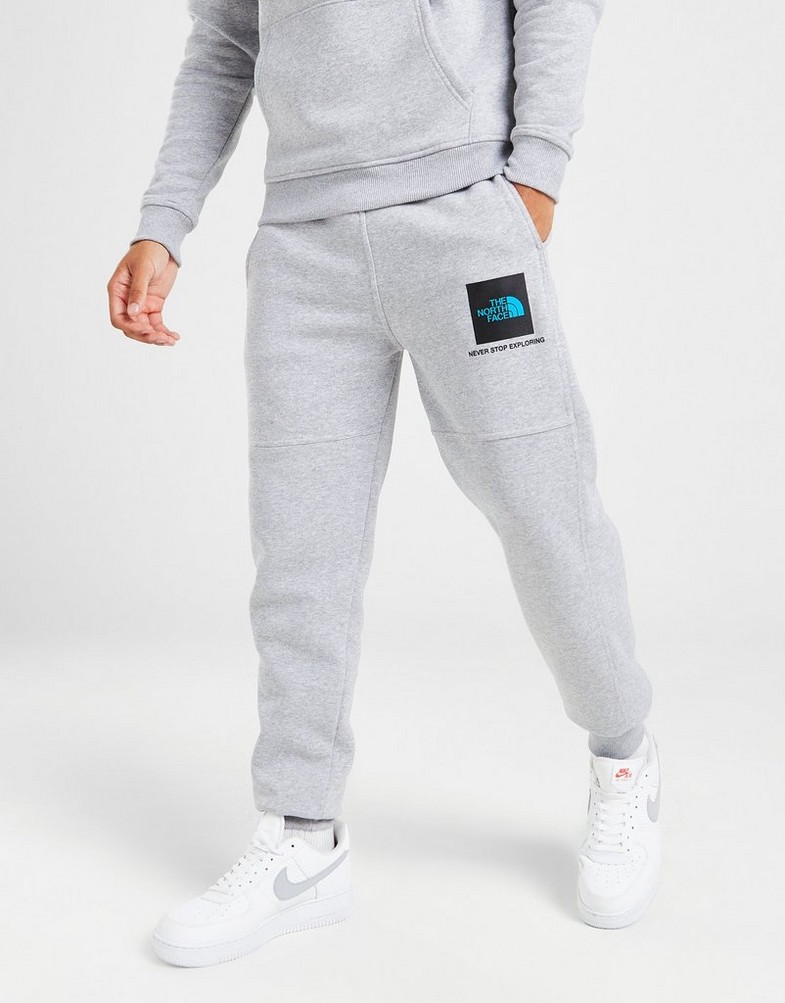 THE NORTH FACE SPODNIE FINE BOX PANT GYM PANT2 Szary