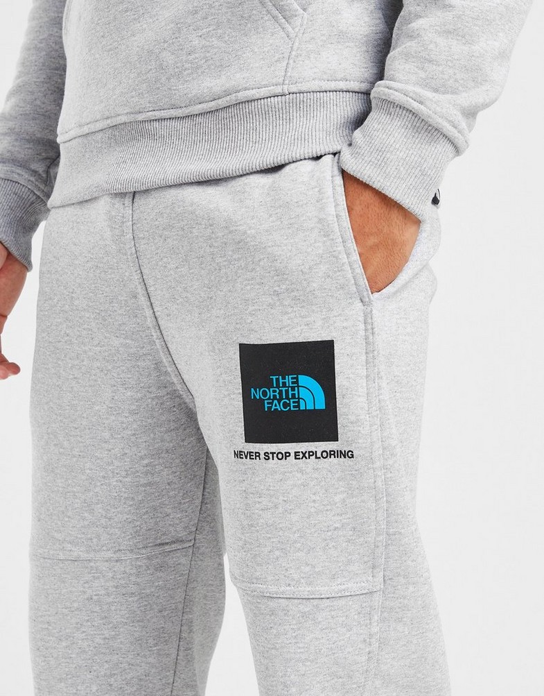 THE NORTH FACE SPODNIE FINE BOX PANT GYM PANT2 Szary