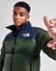 THE NORTH FACE КУРТКА ЗИМОВА NUPTSE 1996