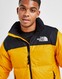 THE NORTH FACE   КУРТКА NUPTSE 1996