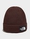 THE NORTH FACE ČIAPKA TNF LOGO BOX CUFFED BNE