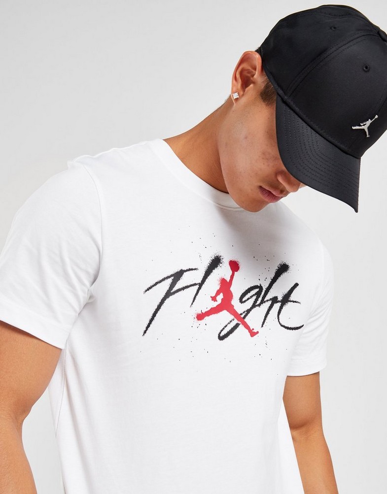 Koszulka, t-shirt męski T SHIRT M JORDAN BRAND GFX SS CREW2 FB7465-100 Biały