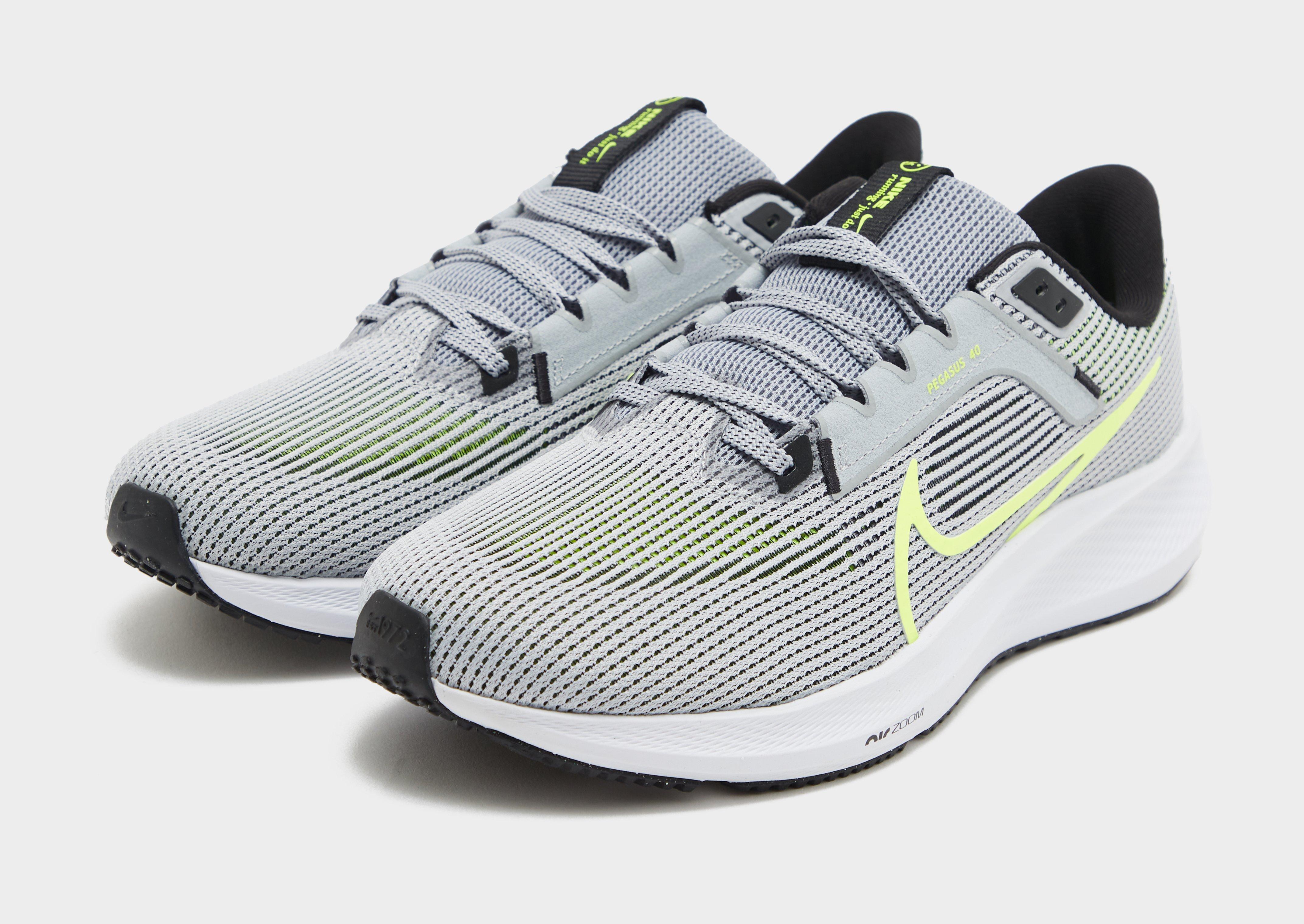 Kedai vyrams NIKE AIR ZOOM PEGASUS 40 DV3853-004 Pilka