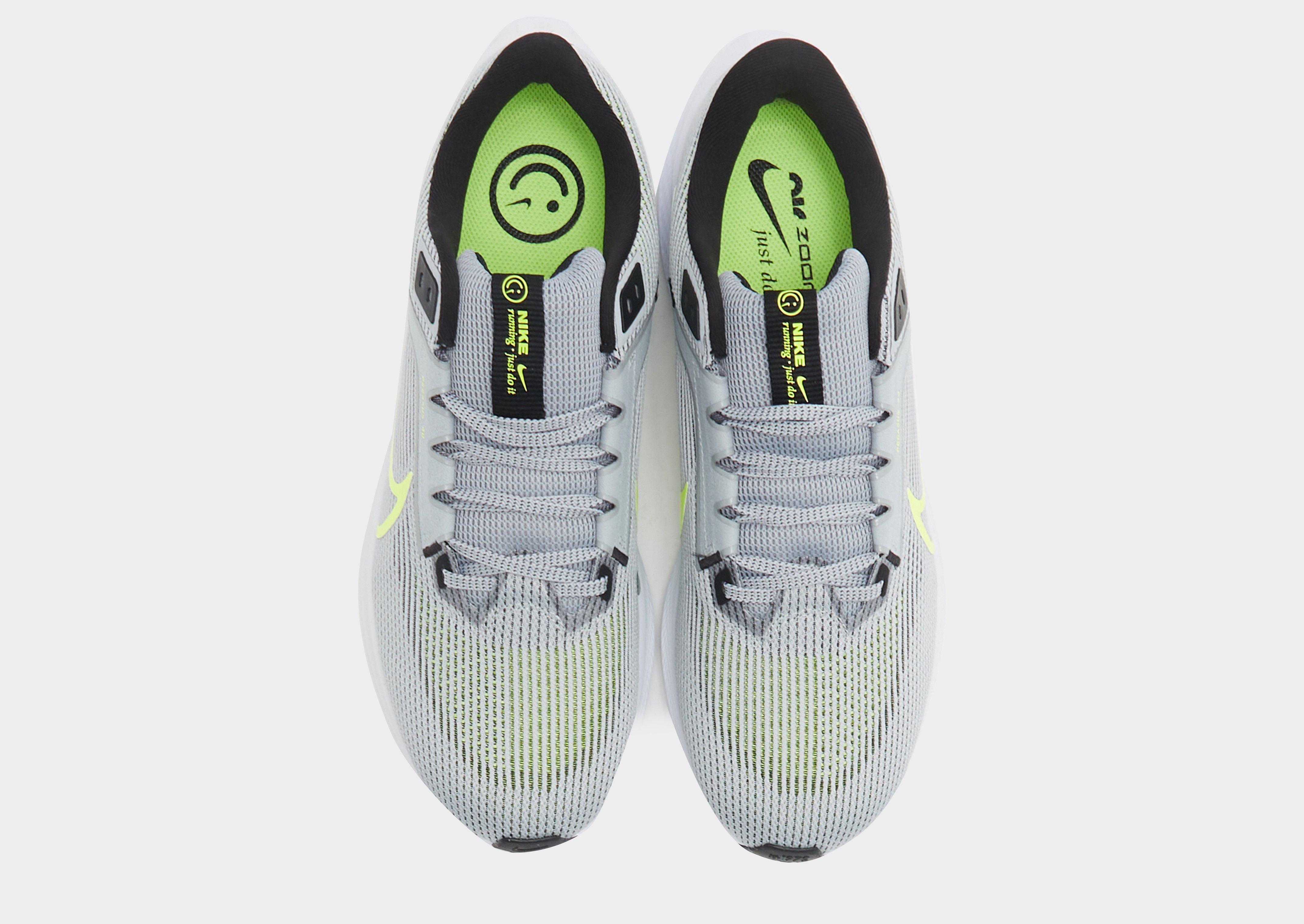 Kedai vyrams NIKE AIR ZOOM PEGASUS 40 DV3853-004 Pilka