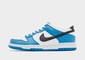 NIKE DUNK LOW GS 