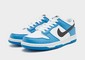 NIKE DUNK LOW GS 