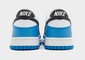 NIKE DUNK LOW GS 
