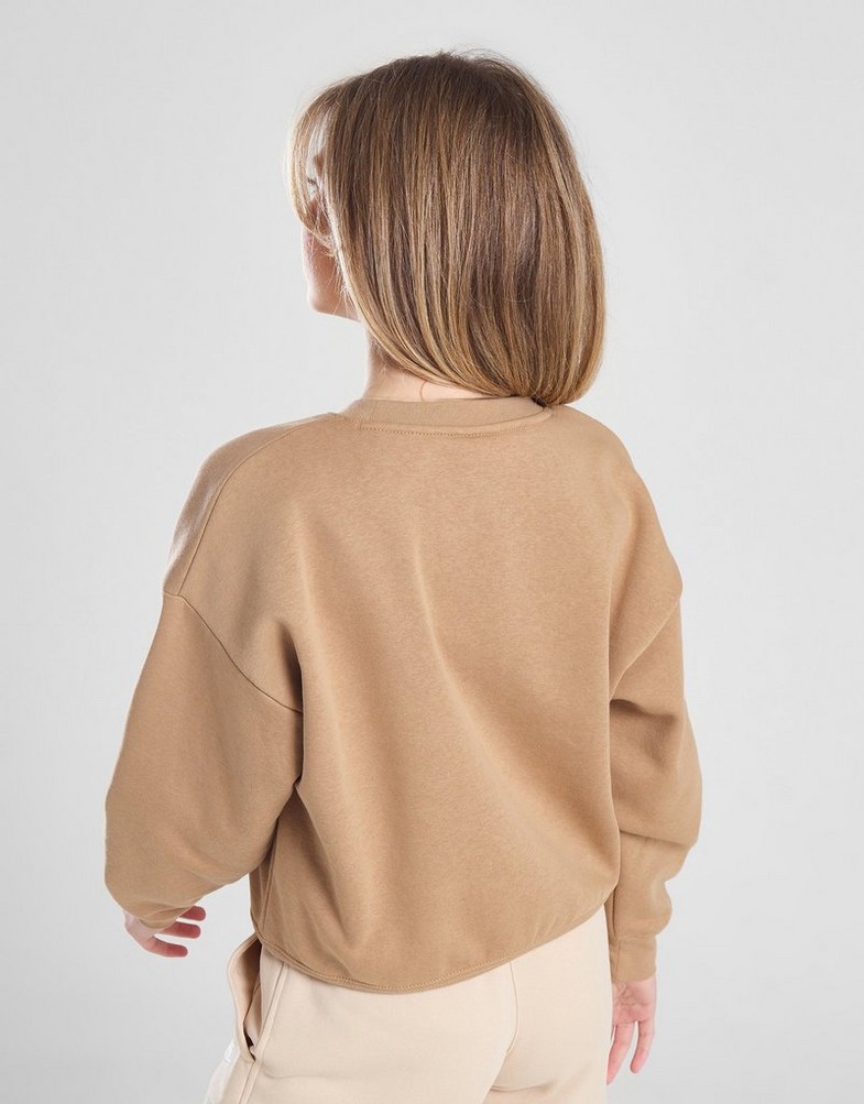 Дитячі кофти JORDAN КОФТА ICON PLAY OVERSIZED CREW GIRL G 45C387-X0L Бежевий