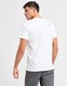 THE NORTH FACE T-SHIRT CHANGALA T WHT