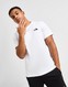 THE NORTH FACE T-SHIRT MOUNT SHADE T WH/GY