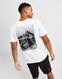 THE NORTH FACE T-SHIRT MOUNT SHADE T WH/GY