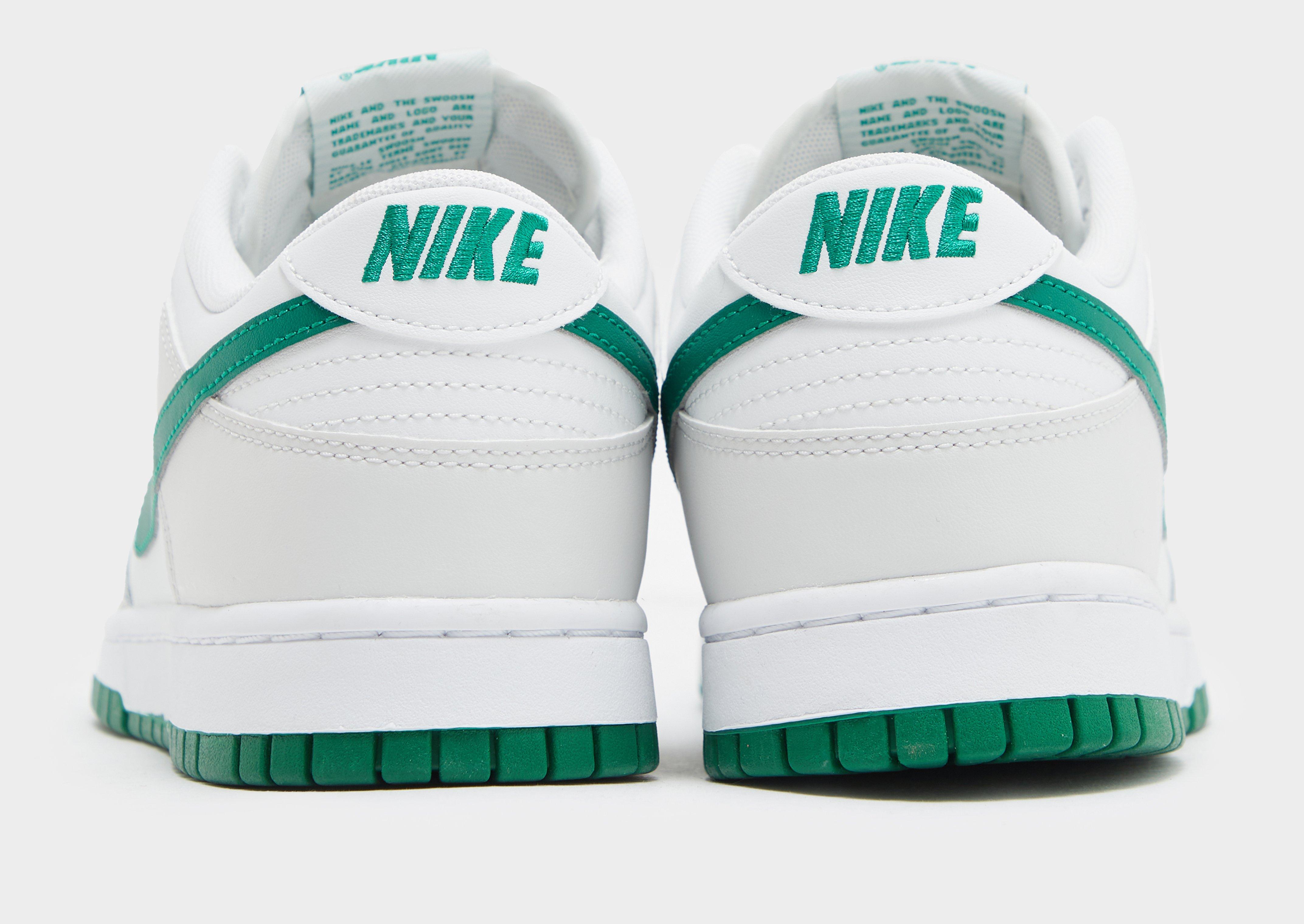 Чоловічі кросівки NIKE DUNK LOW RETRO DV0831-107 Білий