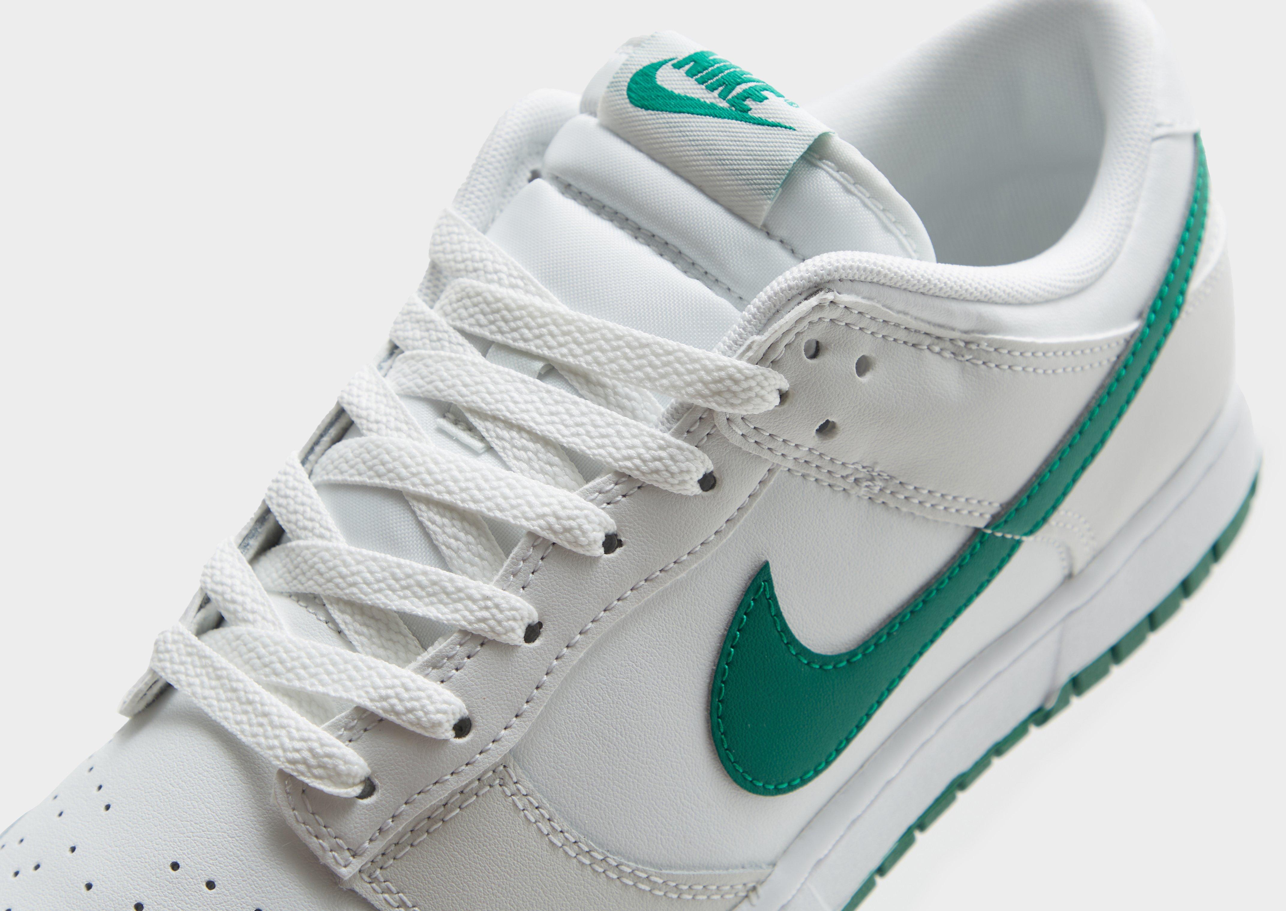 Чоловічі кросівки NIKE DUNK LOW RETRO DV0831-107 Білий