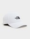 THE NORTH FACE ČIAPKA RECYCLED 66 CLASSIC HAT