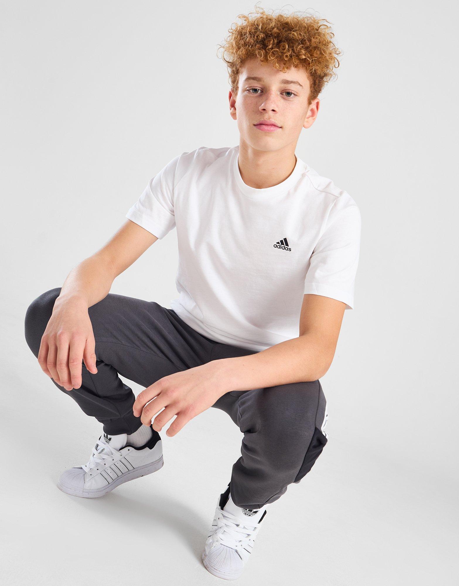 adidas Tričko Core Lgo T Wht B