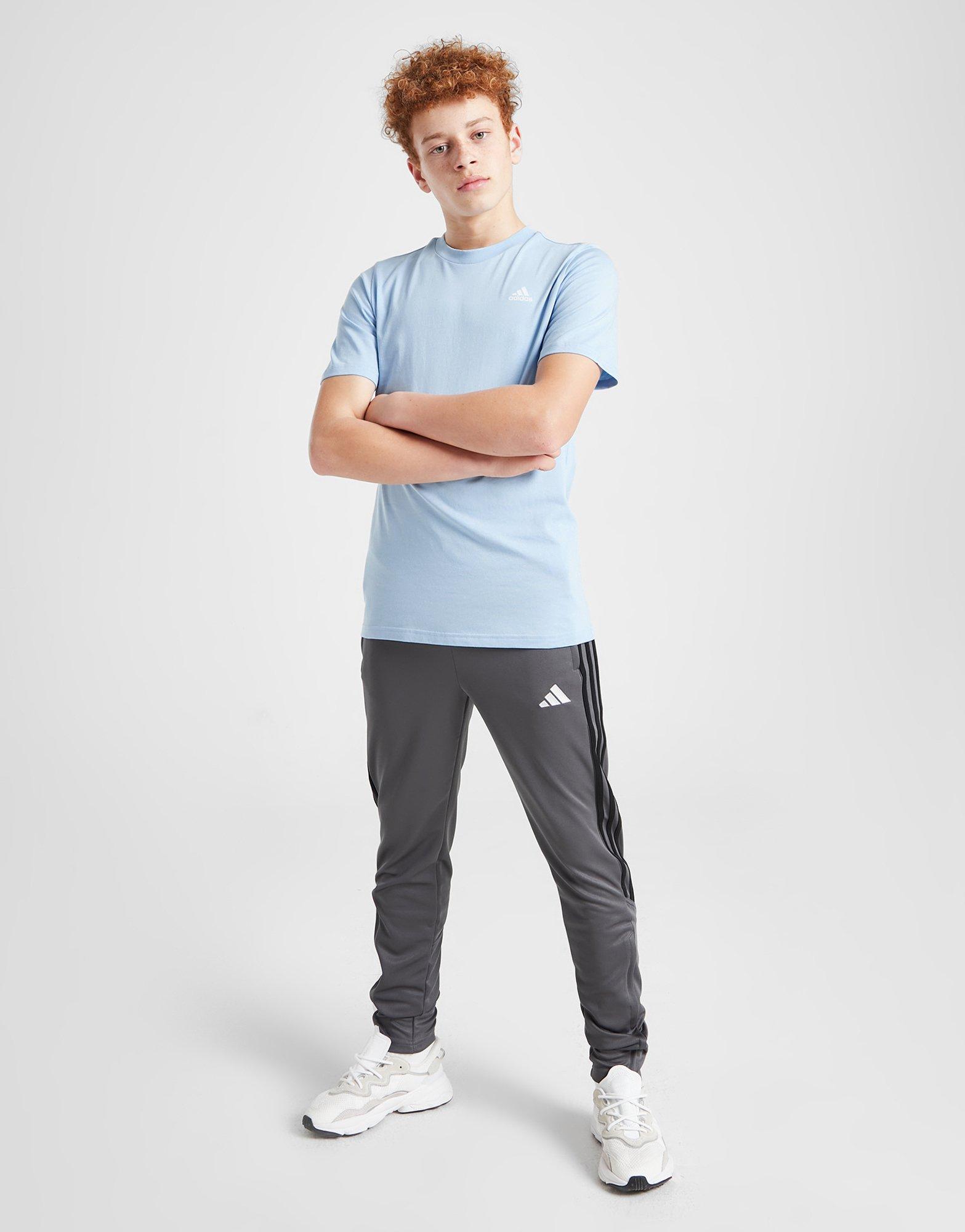 adidas Tričko Core Lgo T L'blu B