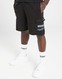 HOODRICH ШОРТИ SPLATTER SHORT BLK