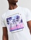 MCKENZIE T-SHIRT SUNSET PALM WHT .