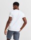 MCKENZIE T-SHIRT SUNSET PALM WHT .