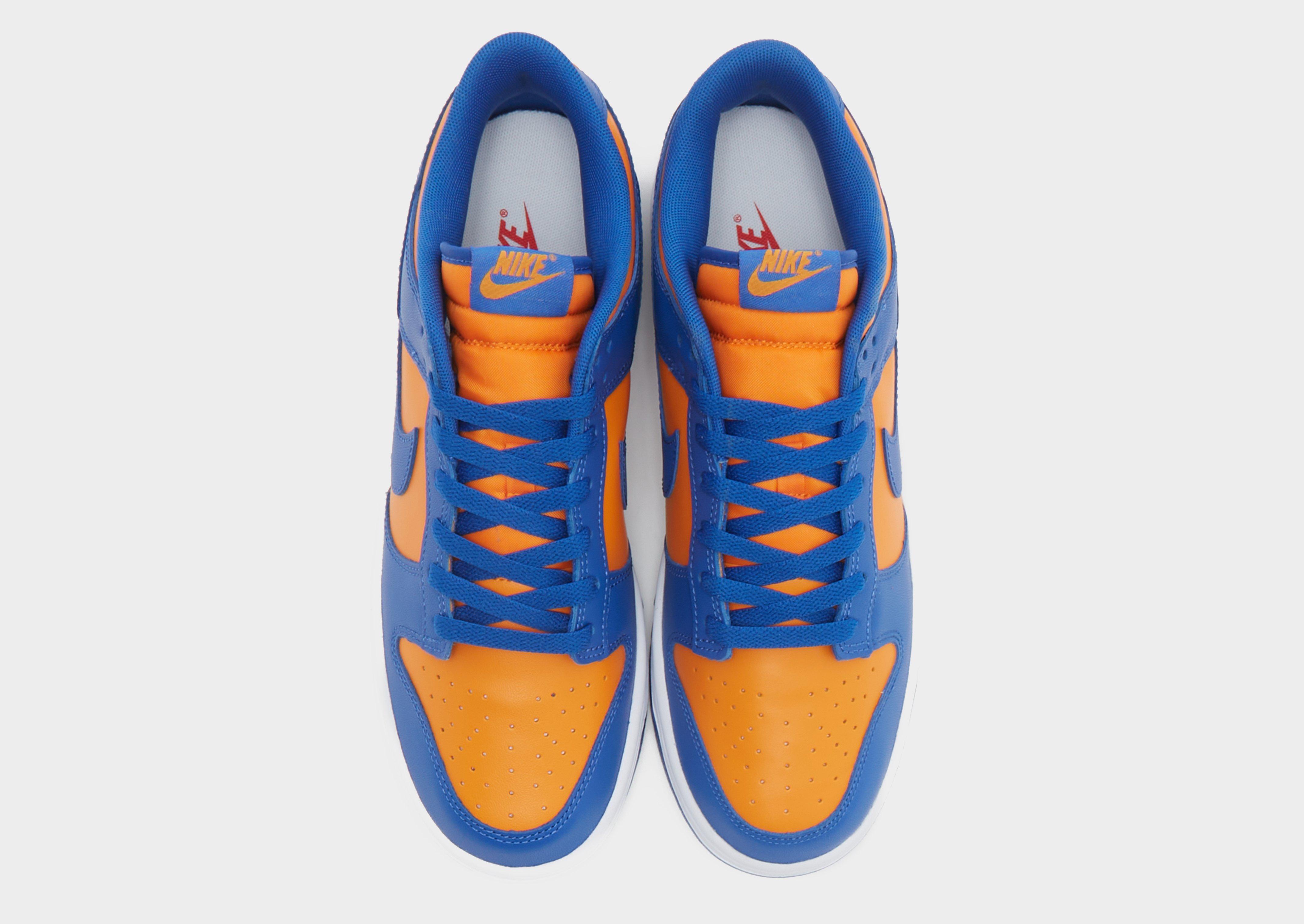 Чоловічі кросівки NIKE DUNK LOW RETRO BTTYS DV0833-800 Блакитний