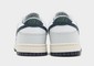 NIKE DUNK LOW NN TNS