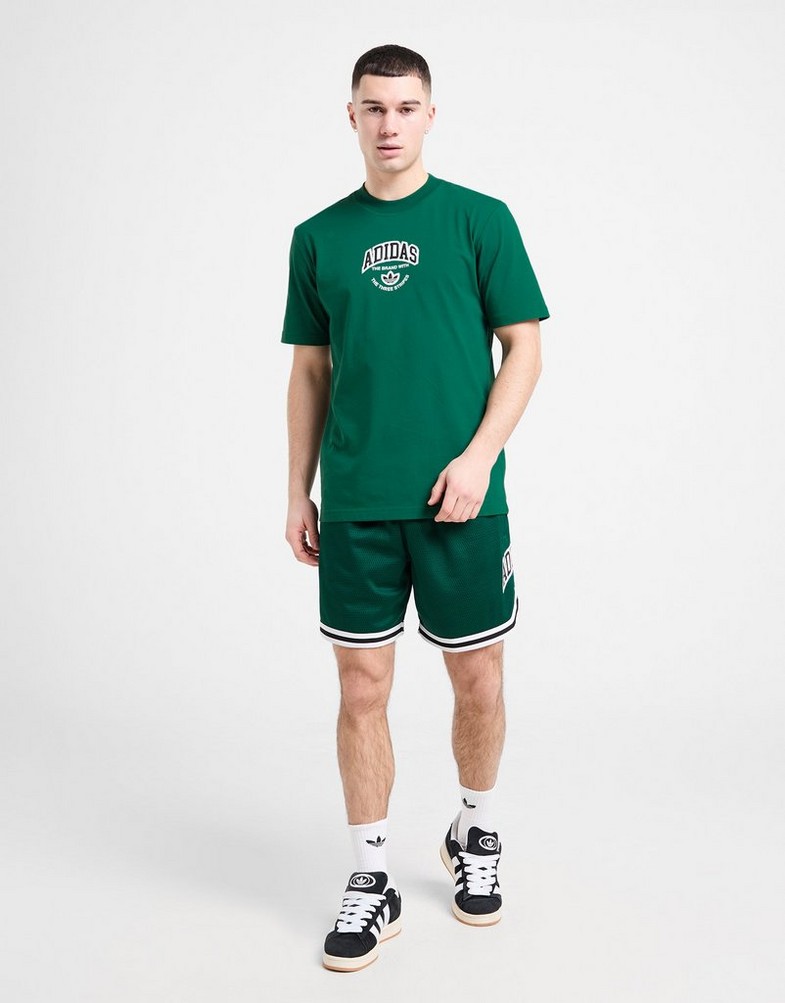 ADIDAS MARŠKINĖLIAI VRCT SS TEE